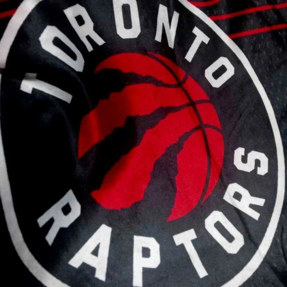 NWT  NBA Toronto Raptors Body pillowcase - Picture 2 of 5